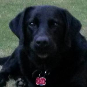 Meet your Posher, Doreen